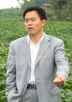 杨文钰