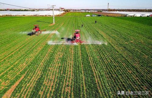 小麦玉米周年一体化肥料配施高效利用技术