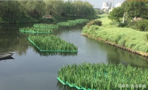 池塘节能减排集成技术模式