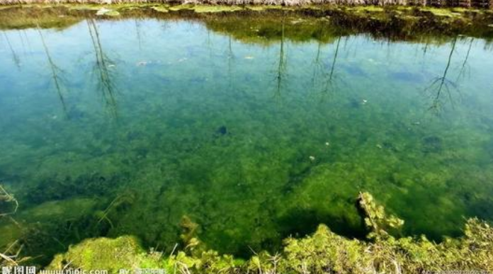 生物生态水质综合调控与节水技术 