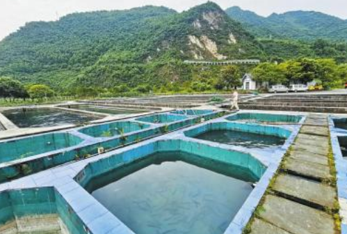 鲑鳟鱼养殖场生物安全管理技术