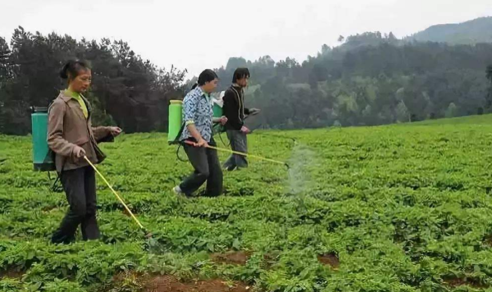 中药材病虫害绿色防控技术