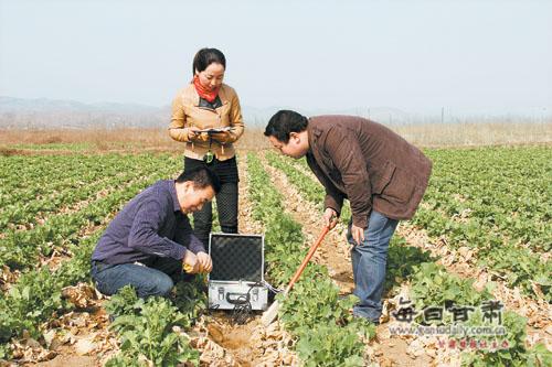 晋西北春播油菜抗旱高产栽培技术