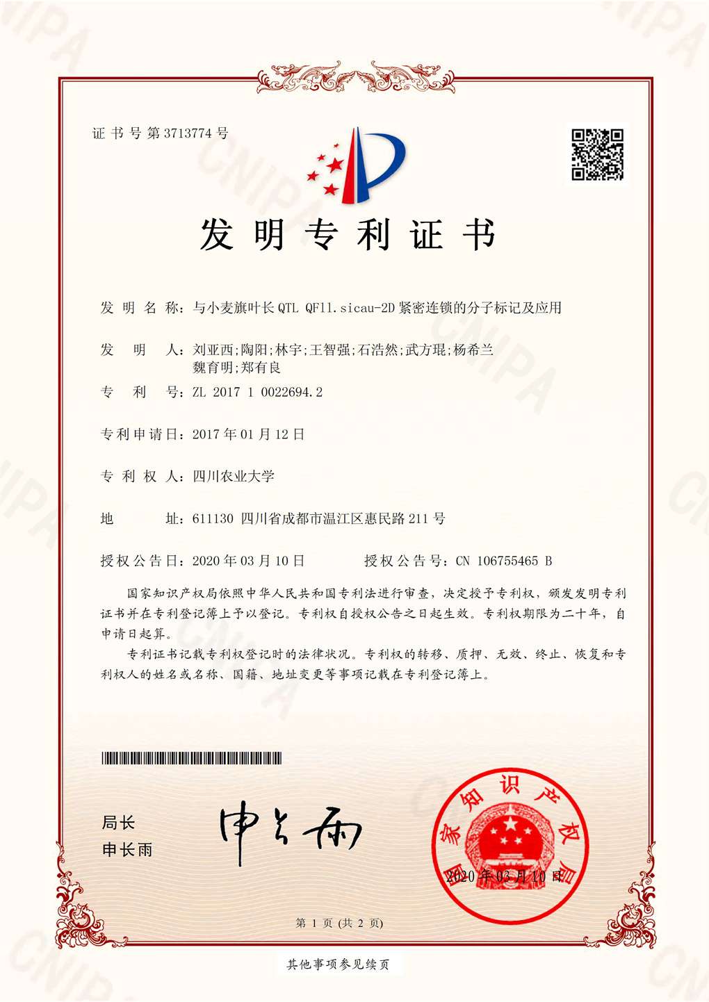 与小麦旗叶长QTL QFll.sicau-2D紧密连锁的分子标记及应用