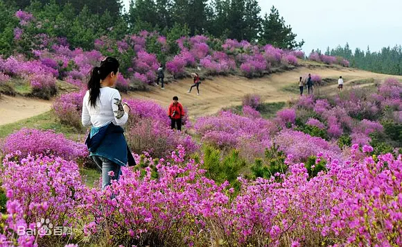 双鸭山市宝清县小城子镇太平村