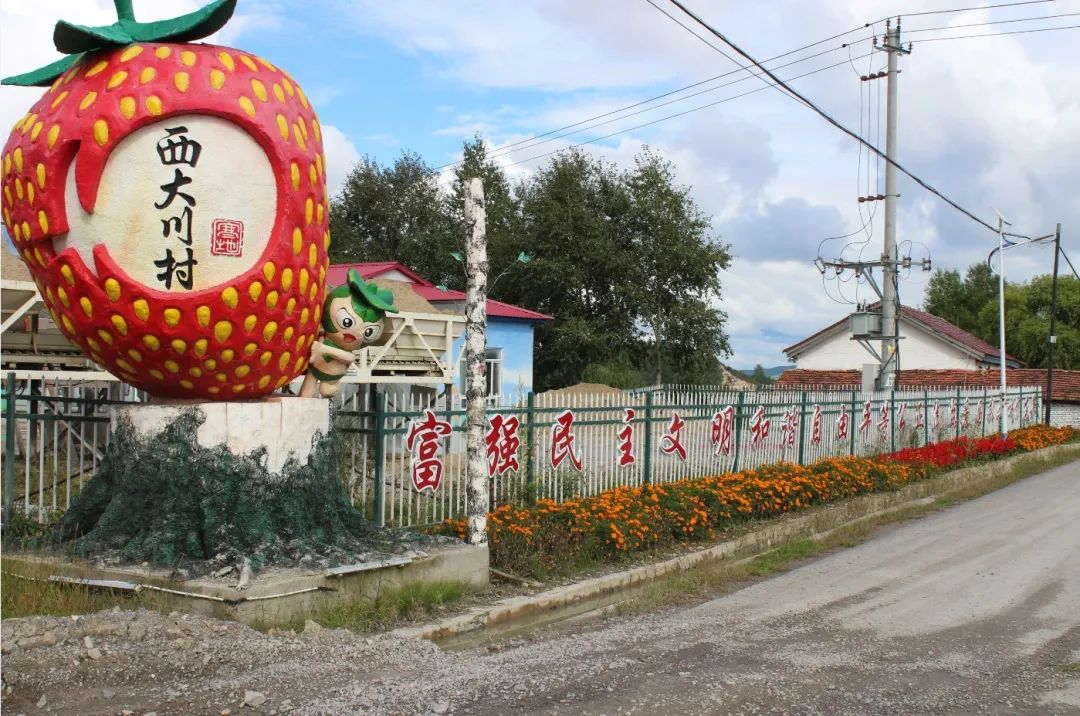 临江市桦树镇西大川村